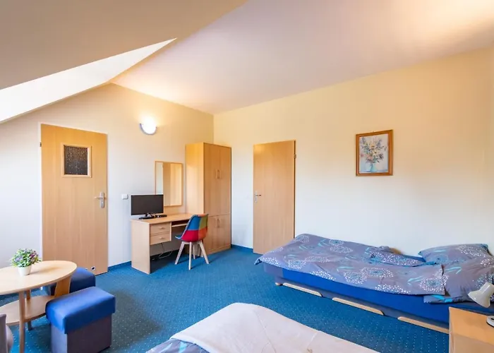 Pod Platanem Gasthof 3*